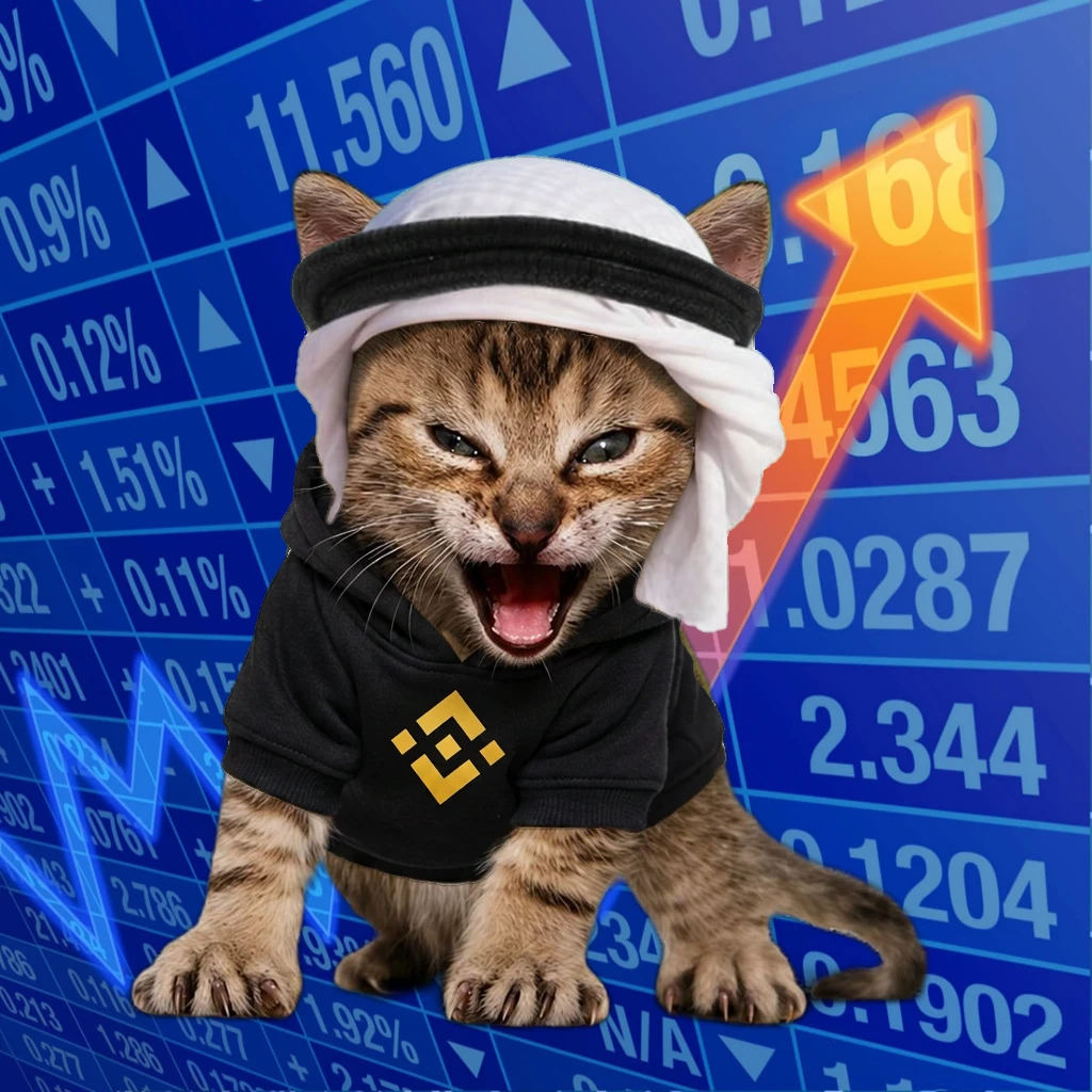 Broker #243