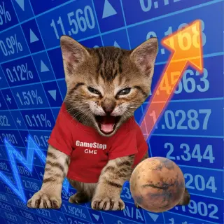 Broker #16