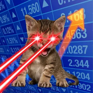 Broker #25